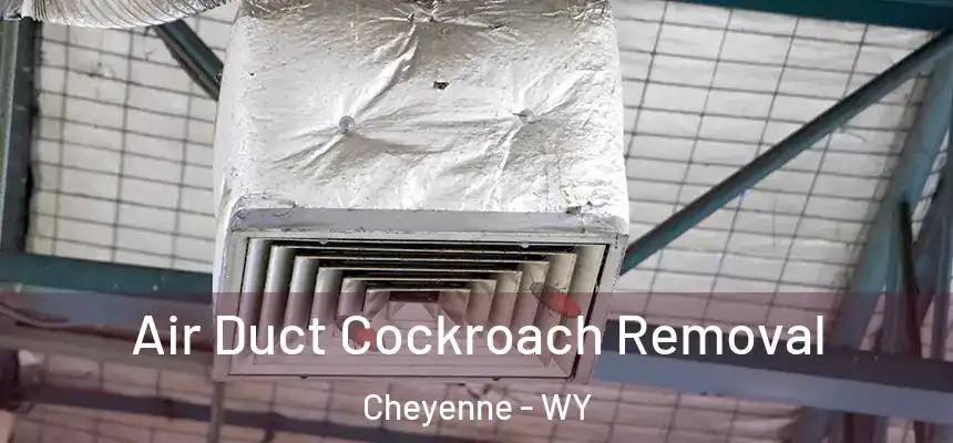  Air Duct Cockroach Removal Cheyenne - WY