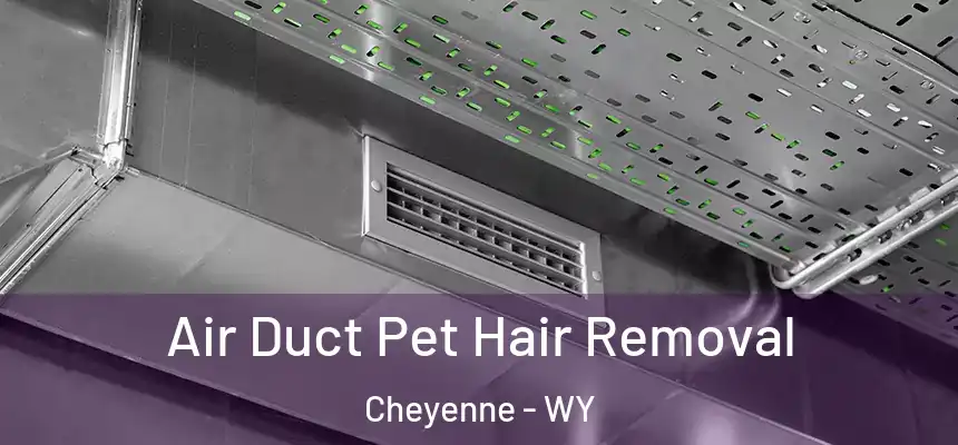Air Duct Pet Hair Removal Cheyenne - WY