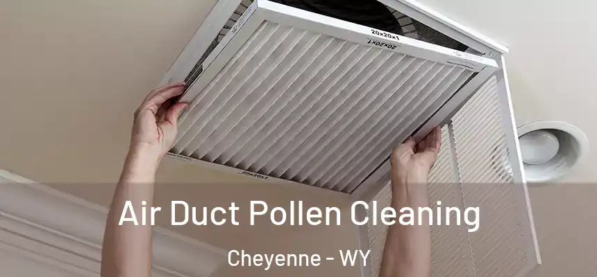 Air Duct Pollen Cleaning Cheyenne - WY
