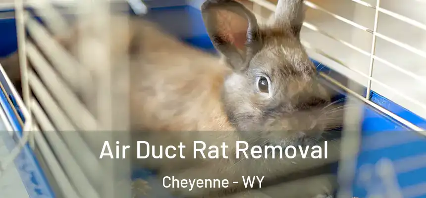 Air Duct Rat Removal Cheyenne - WY