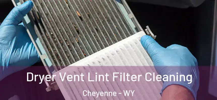  Dryer Vent Lint Filter Cleaning Cheyenne - WY