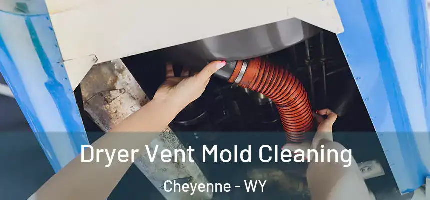 Dryer Vent Mold Cleaning Cheyenne - WY