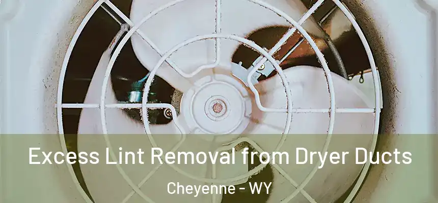 Excess Lint Removal from Dryer Ducts Cheyenne - WY