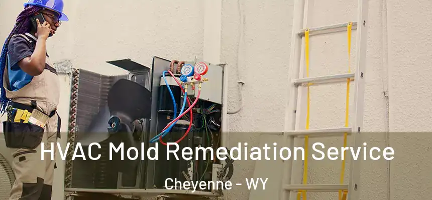  HVAC Mold Remediation Service Cheyenne - WY