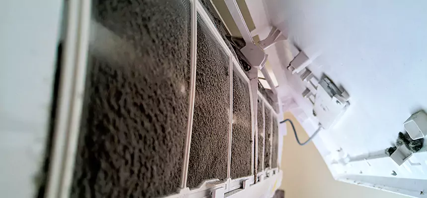 Preventive Air Duct Bacteria Removal in Cheyenne