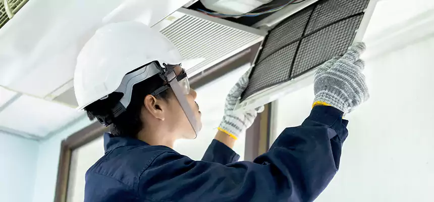 Our Mold & Mildew Removal from Air Ducts Services in Cheyenne, WY