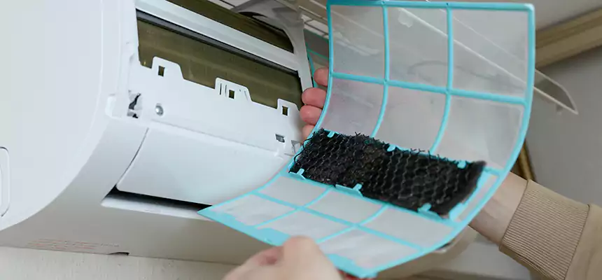 Gentle Ductwork Odor-Control Pet Dander Duct Cleaning in Cheyenne, WY