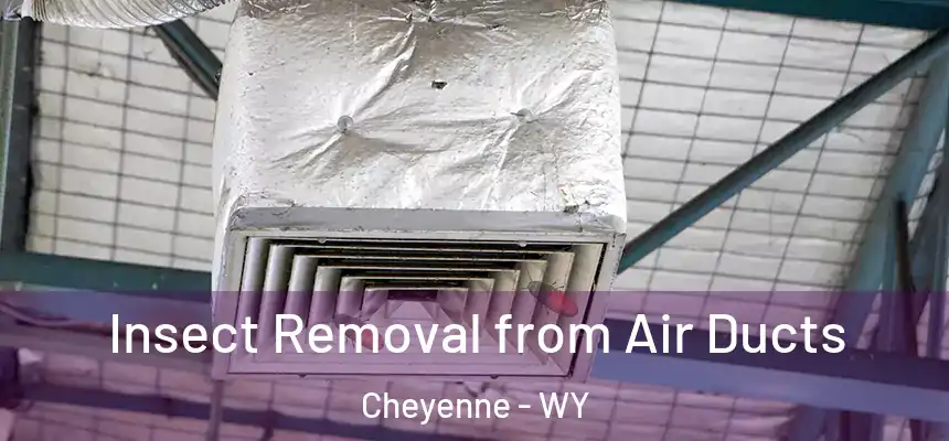 Insect Removal from Air Ducts Cheyenne - WY