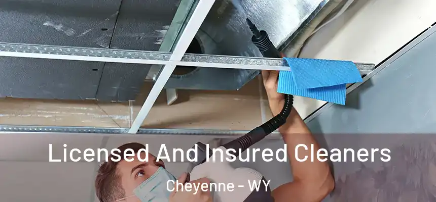 Licensed And Insured Cleaners Cheyenne - WY
