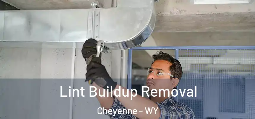Lint Buildup Removal Cheyenne - WY