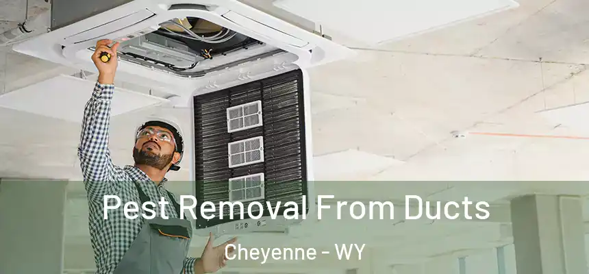 Pest Removal From Ducts Cheyenne - WY