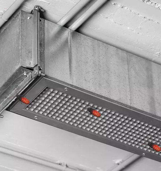 About Air Duct Cockroach Removal in Cheyenne, WY
