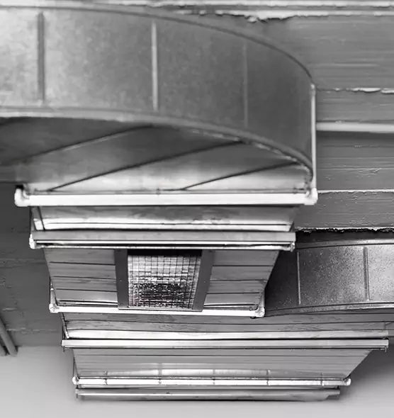 Professional Air Duct Pest Removal in Cheyenne, WY