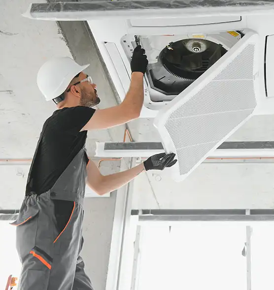 About Air Duct Rodent Removal in Cheyenne, WY