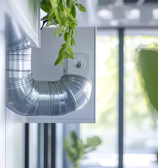 Professional Eco-Friendly Duct Cleaning Services in Cheyenne, WY