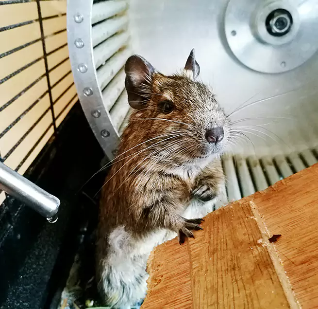 Why Homeowners & Businesses Trust Us Cheyenne, WY?