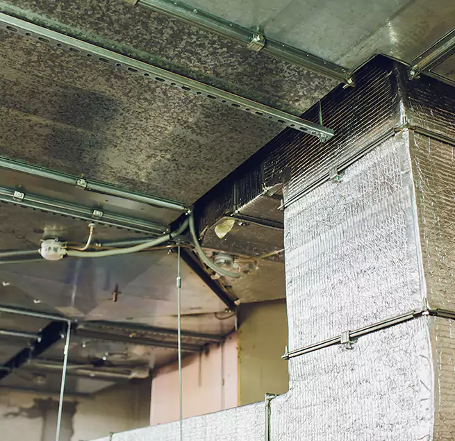 Why Homeowners & Businesses Trust Us in Cheyenne, WY?